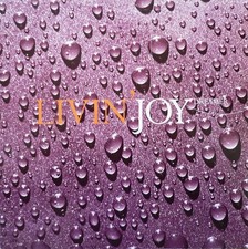 LIVIN JOY - DREAMER - 12”