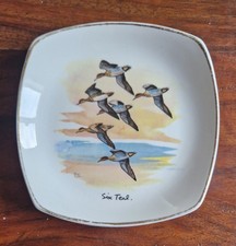 Midwinter Six Teal Designed by