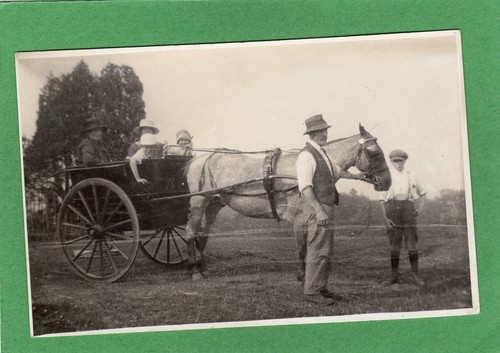 Horse cart carriage unknown - cart,