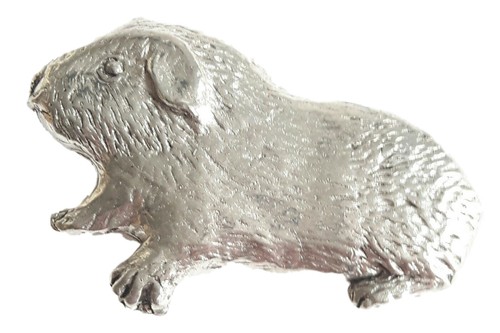 Guinea pig finely - finely, handcrafted