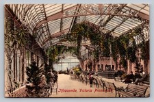 POSTCARD - ILFRACOMBE -