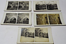5 x The Countryside Stereograph early 1900s Zoo Series,polar bear,elephant,etc