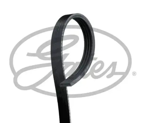Multi ribbed belt - multi-ribbed, v-belt