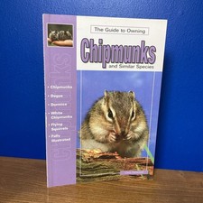The Guide to Owning Chipmunks