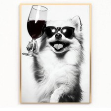 Funny pomeranian dog drinking