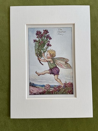 Heather flower fairy - ‘heather’,