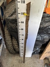 Blackthorn SHANK WALKING STICK