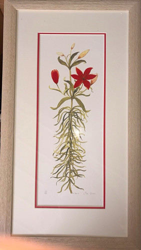 Framed signed limited edition - signed,