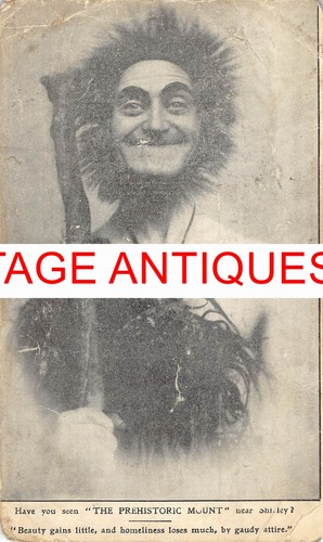 Antique postcard mount cottage - postcard,