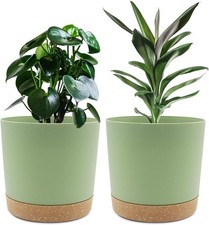 QCQHDU 20cm Plant Pot 2 Pack Planters for Indoor Plants with Drainage Holes