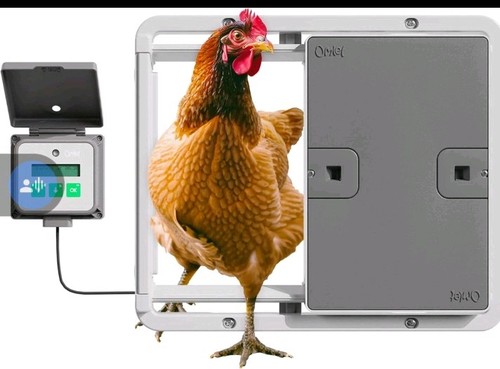 Omlet automatic chicken coop - omlet,