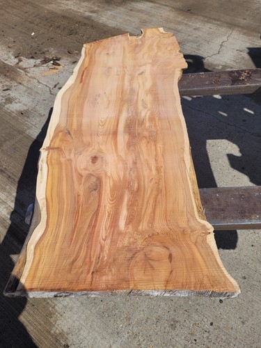 Yew log for sale - log,