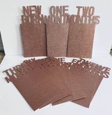 Baby Photo Banner Birthday Girl Pink Milestones- Newborn to 12 Months Fits 6 x 4