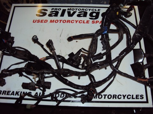 Triumph 100 bonneville 2004 - triumph,