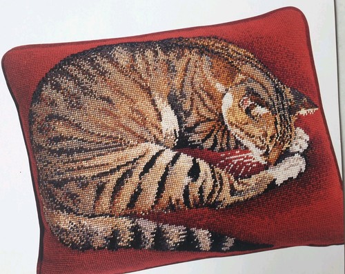 Elian mccready naxos cat - naxos,