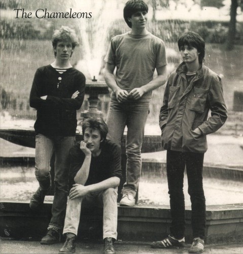 Chameleons tony fletcher - tony,