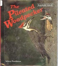 The Pileated Woodpecker