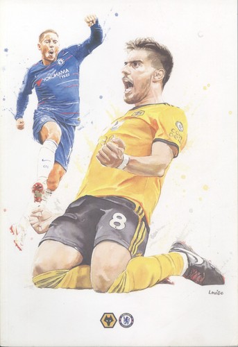 2018 2019 wolves programmes - 2018/2019,