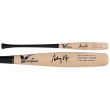 Anthony Volpe New York Yankees