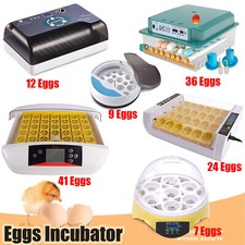 Digital Eggs Incubator Hatcher