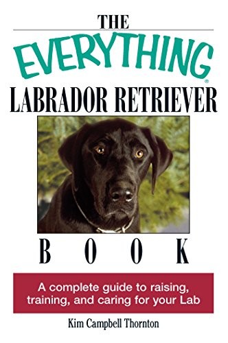 The everything labrador - the,