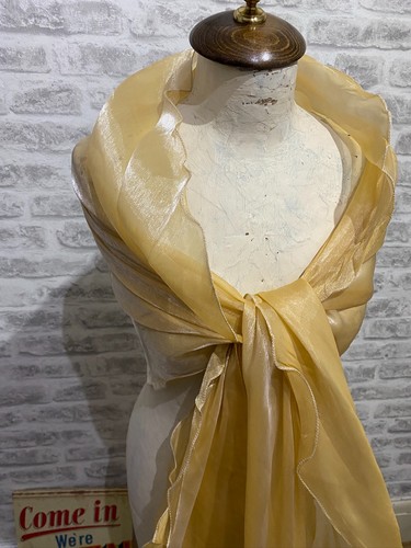 Bnwot chiffon iridescent scarf - bnwot,
