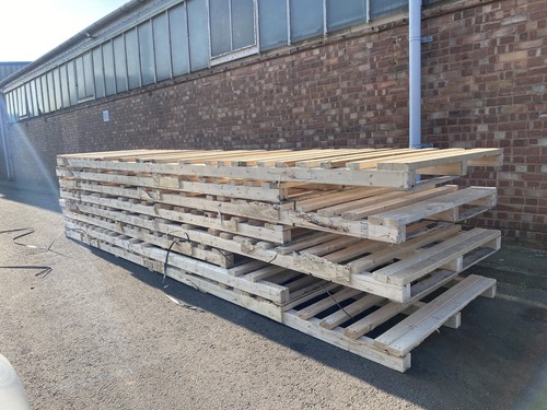Oversize timber pallet - timber,