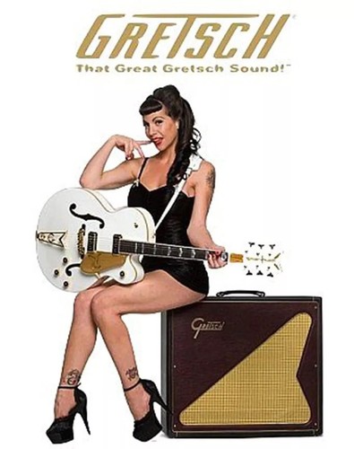 Gretsch kim falcon photo - kim,