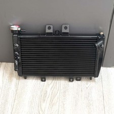 For Triumph Speed Triple 955i