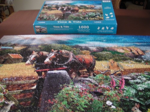 Time tide 1000 piece house - tide', 1000-piece