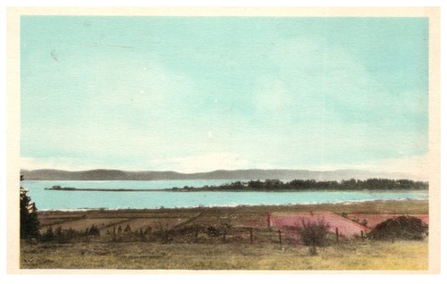 Vintage postcard scenic - vintage,