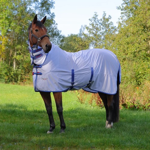 Shires tempest original fly - original,