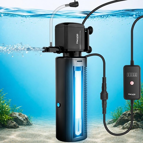Harune 500l fish tank - fish,