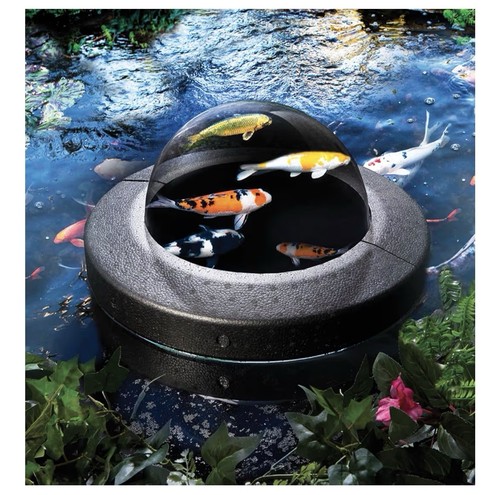 Floating fish dome - floating,