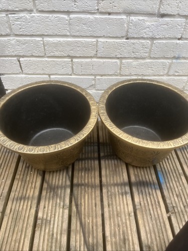 Big sized plastic plant - sized, pots