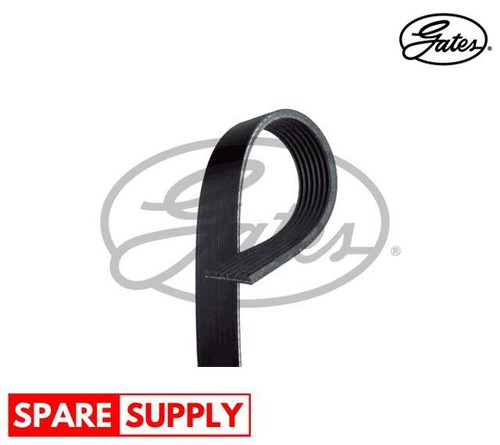 Ribbed belts for - v-ribbed,
