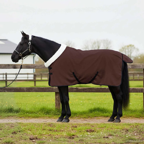 Horse blanket full - blanket,