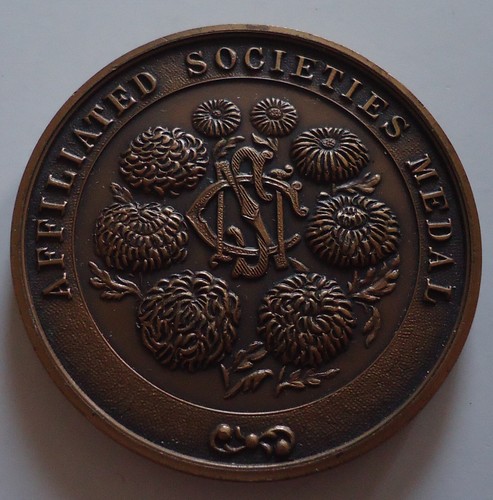 National chrysanthemum society - chrysanthemum,
