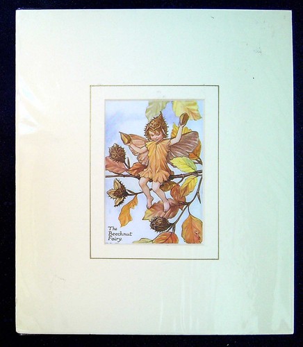Barker cicely mary - barker,, mounted