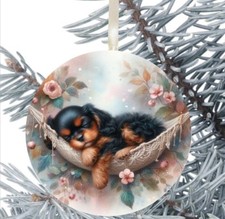 King Charles Cavalier Spaniel