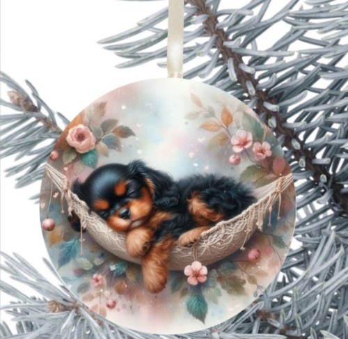 King charles cavalier - charles, spaniel