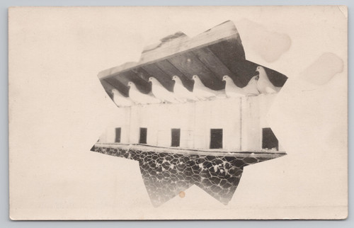 Rppc pigeon coop house white - rppc,