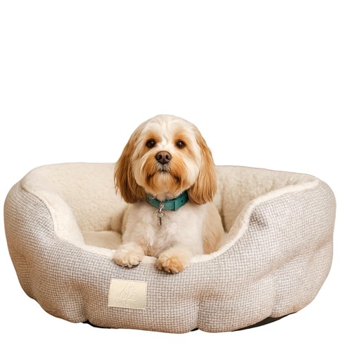 Plush calming donut dog bed - donut,