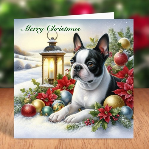 Boston terrier dog christmas - boston,