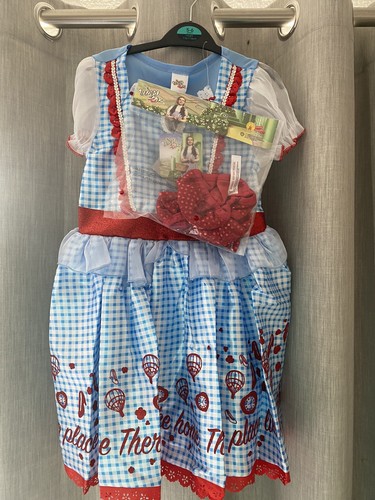 Dorothy wizard dress - wizard, oz