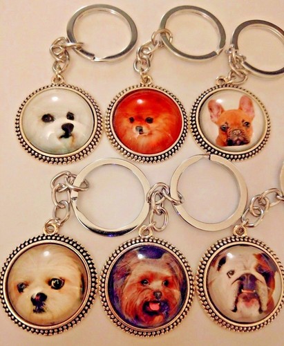 Dog puppy key chain bichon - puppy,