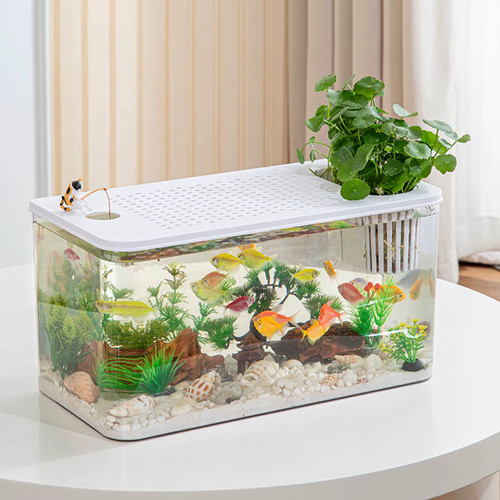 Reptile terrarium clear view - clear,