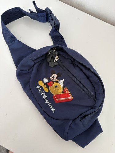 Walt disney world - world, bag