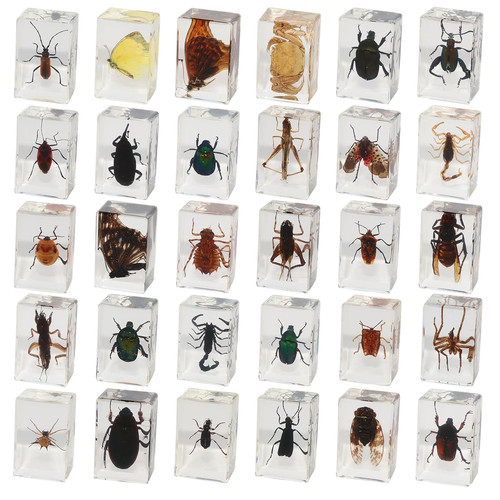 Pcs insect resin - pcs,