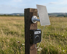 Heron pond scarer - heron, scarer-the